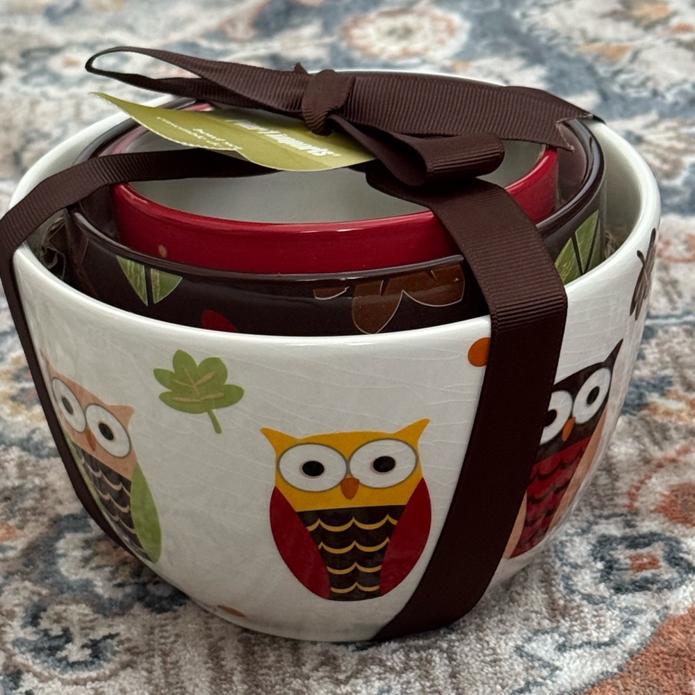 Pier 1 imports ceramic 3 piece bowl set new with tag dishwasher safe